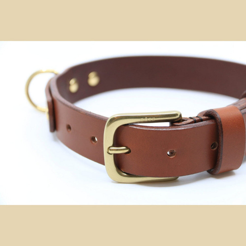 Collar Glamour Hundehalsband Aus Echtem Leder – Weich, Gepolstert & Bequem Für Deinen Hund